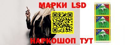 бошки Новодвинск
