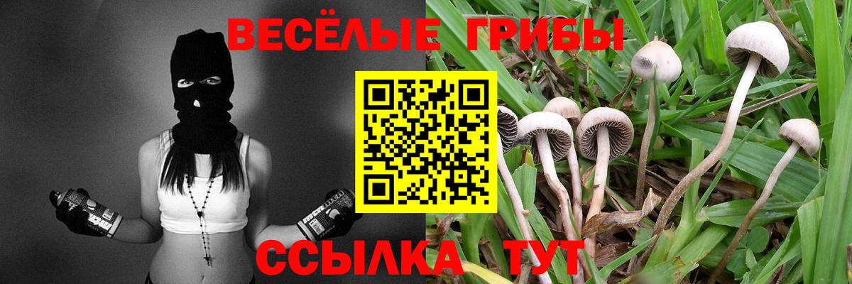 Галлюциногенные грибы MAGIC MUSHROOMS Уссурийск